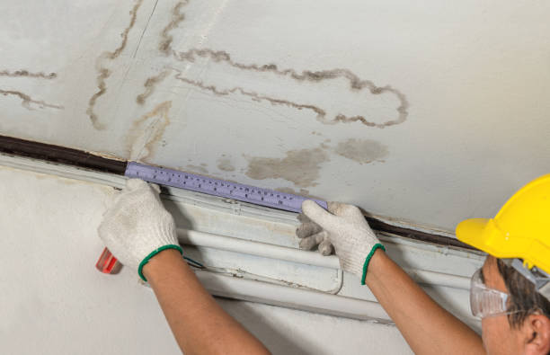 Reliable Mold Remediation contractor in Princeton, NJ by Water Damage Irwin